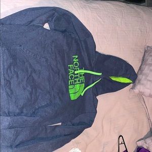 Blue North Face Sweatshirt